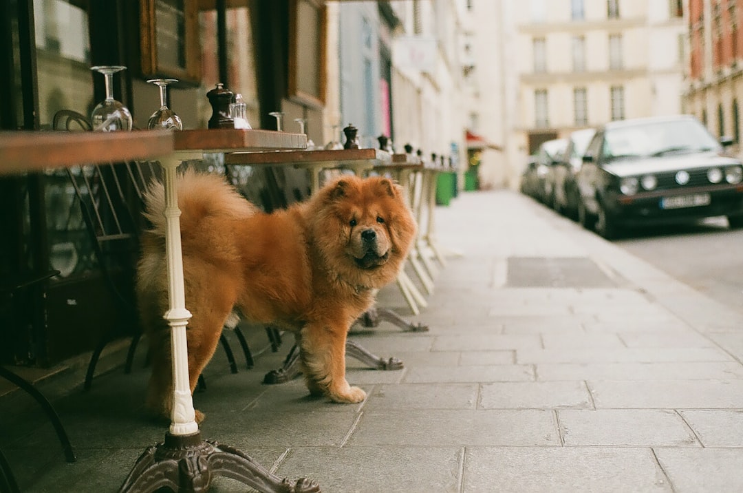 Discovering the Charm of Pink Mamma Paris: A Must-Visit Restaurant